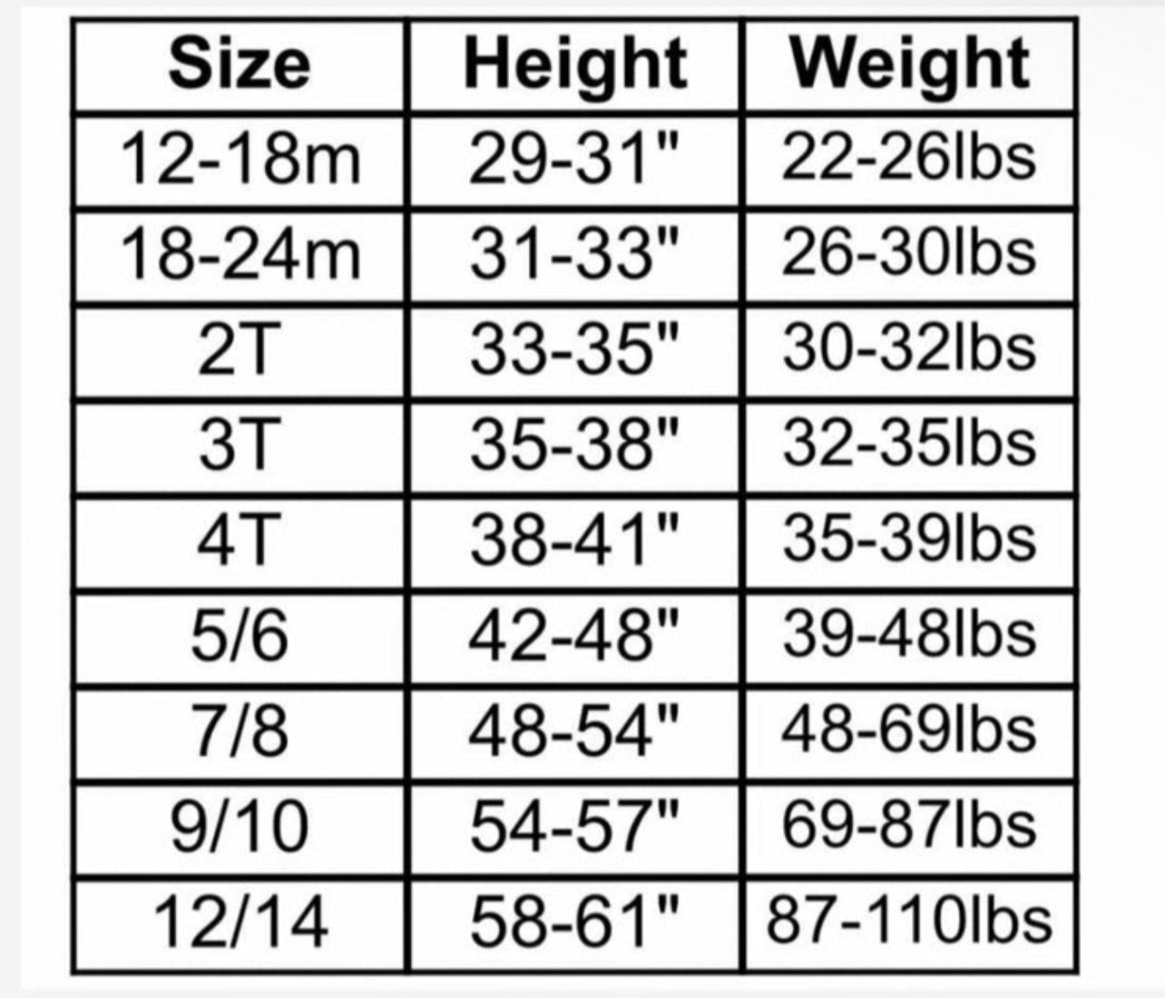 Bear and Friends Christmas Two Piece Pajama