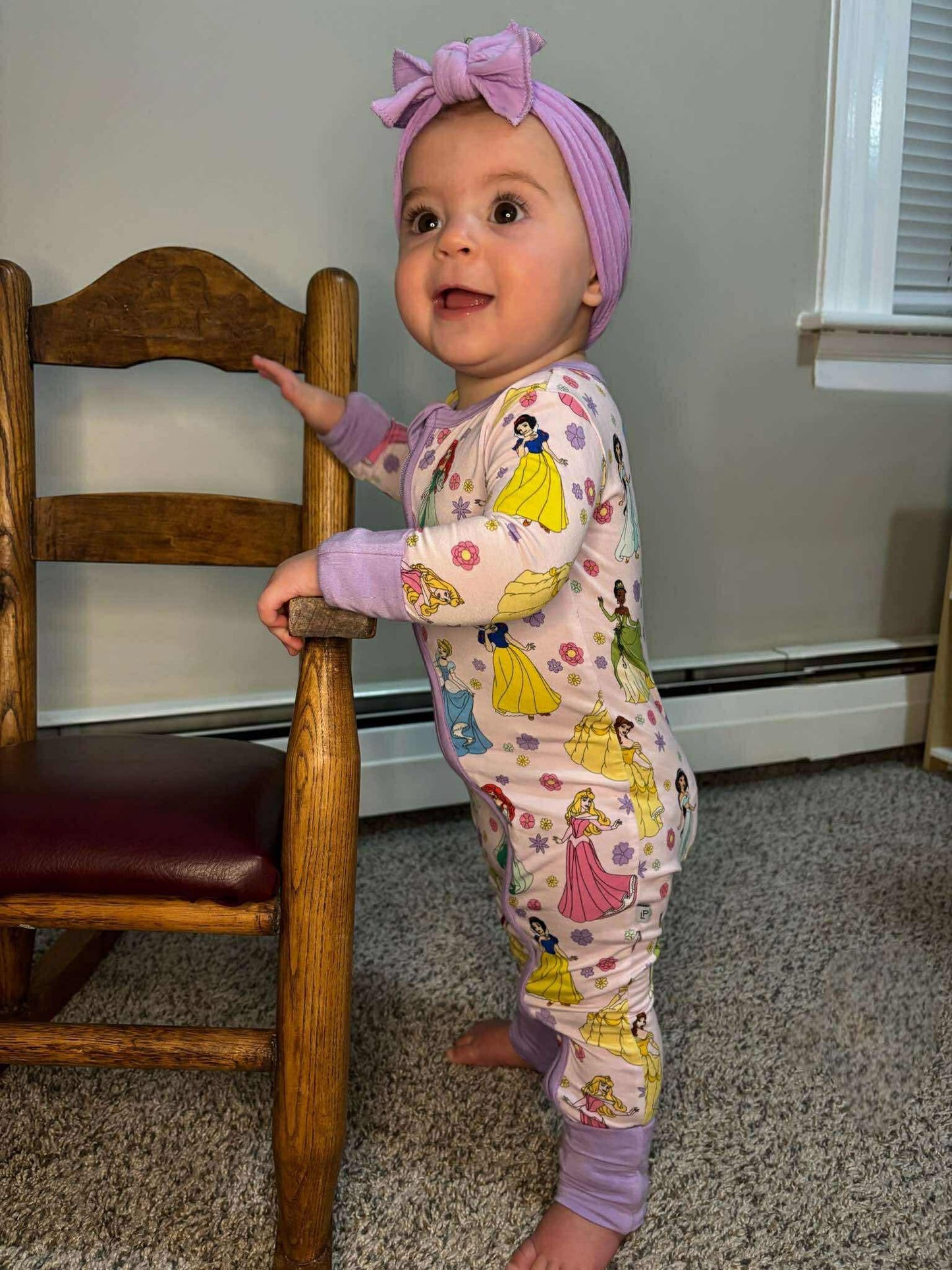 Once Upon a Dream Zippy