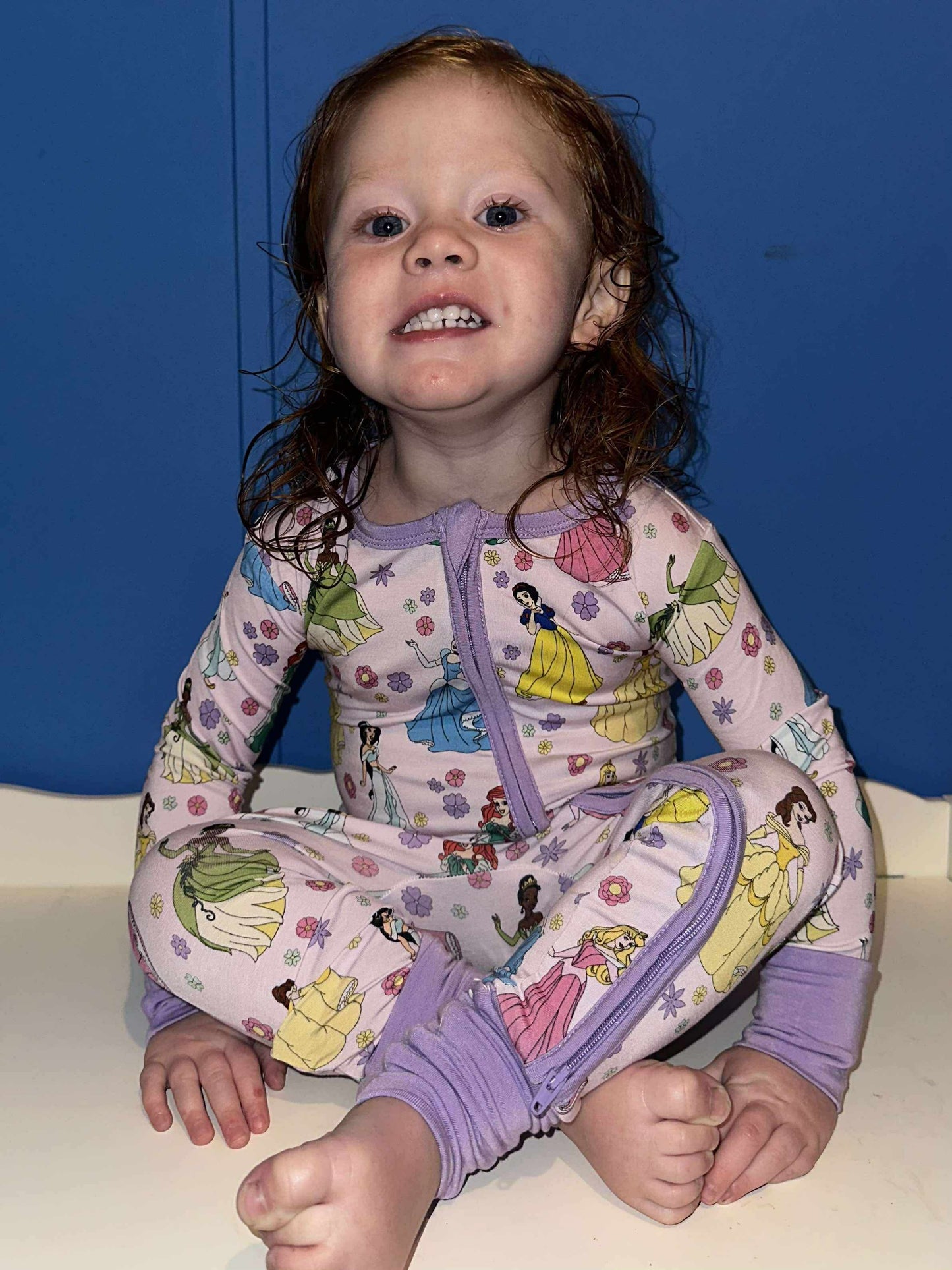 Once Upon a Dream Zippy