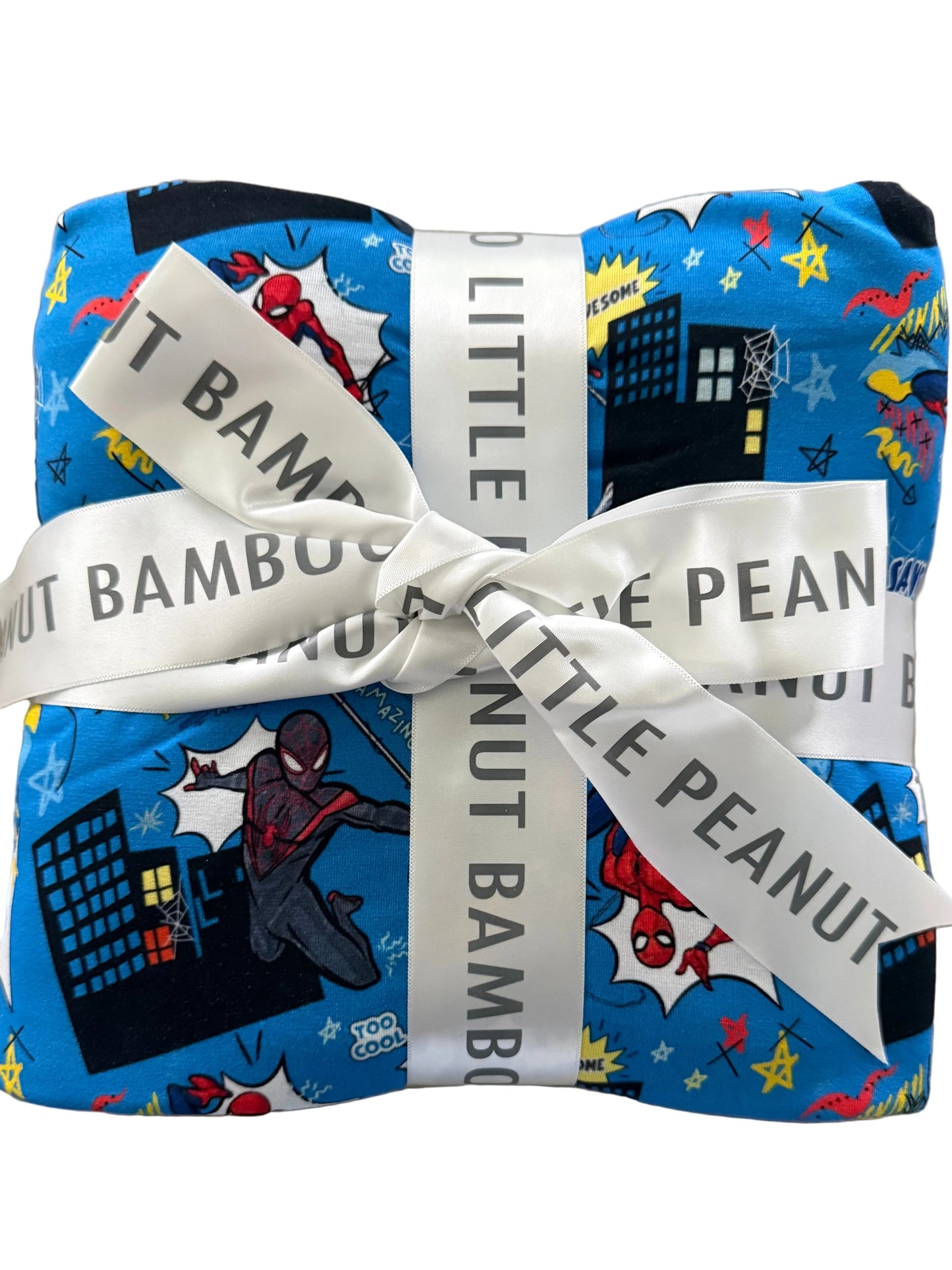 Hero in the City Double Layered Blanket 50x50